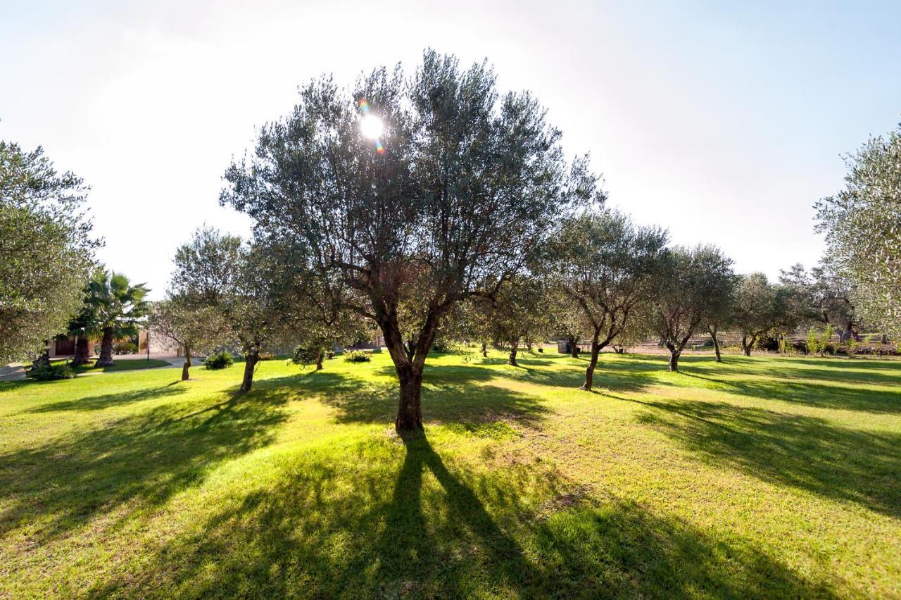 הוילה בורגאנייה Olive Garden House מראה חיצוני תמונה
