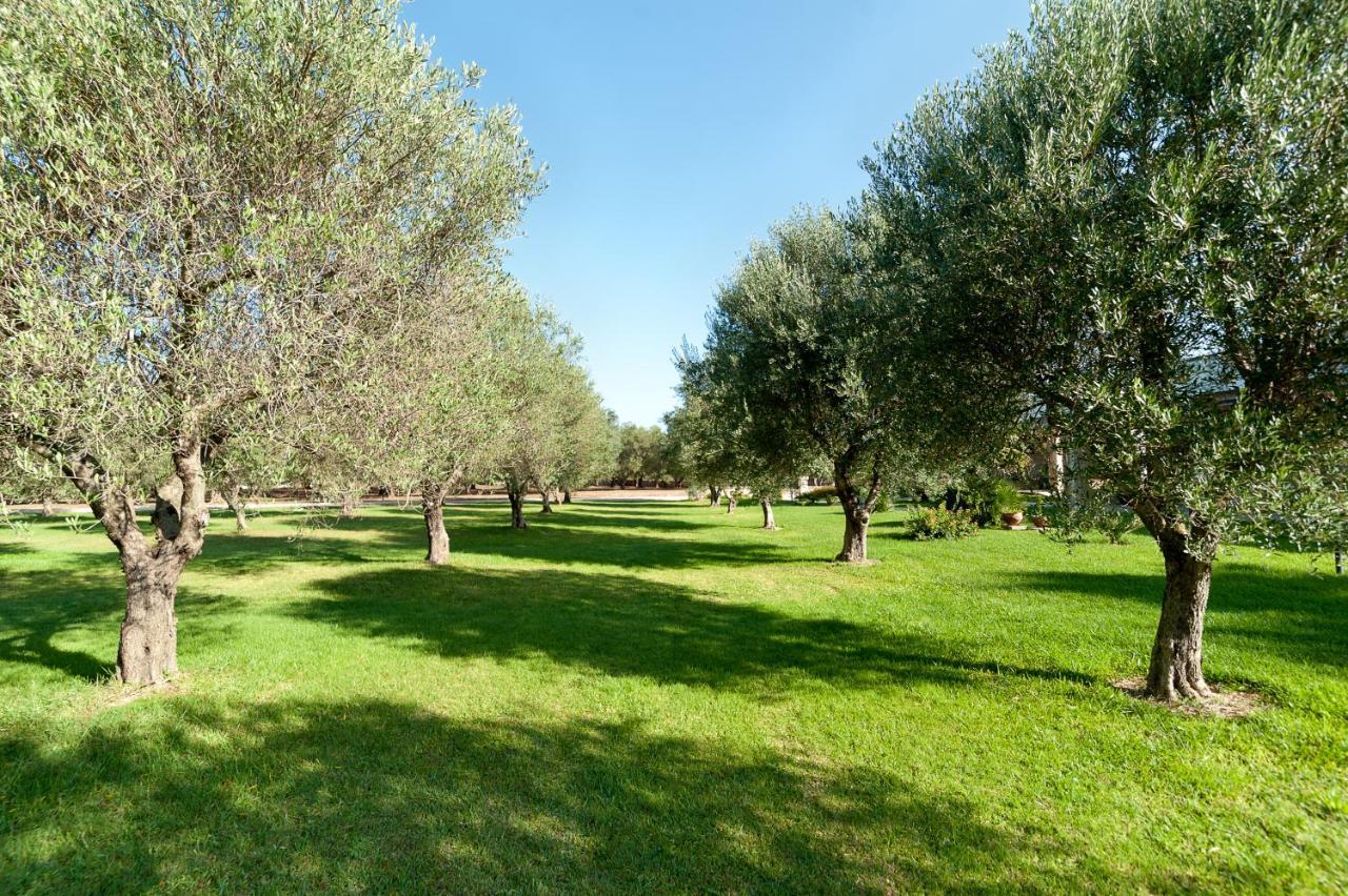 הוילה בורגאנייה Olive Garden House מראה חיצוני תמונה